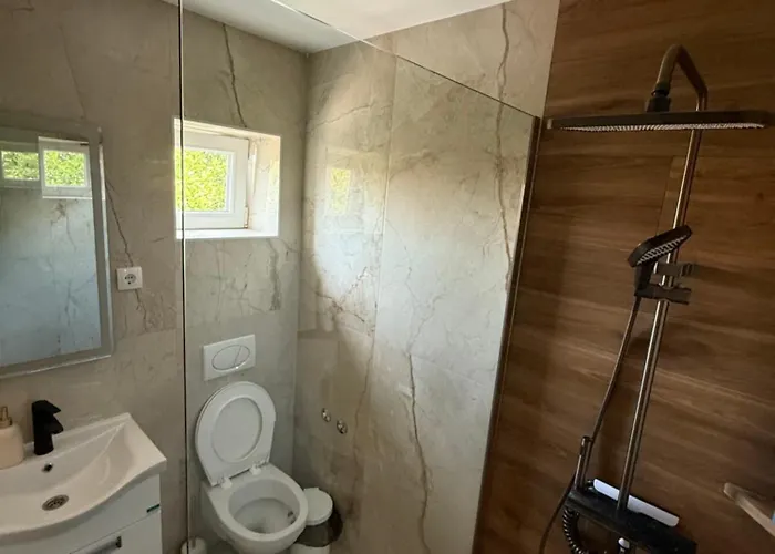 Carigradski Drum Radinac